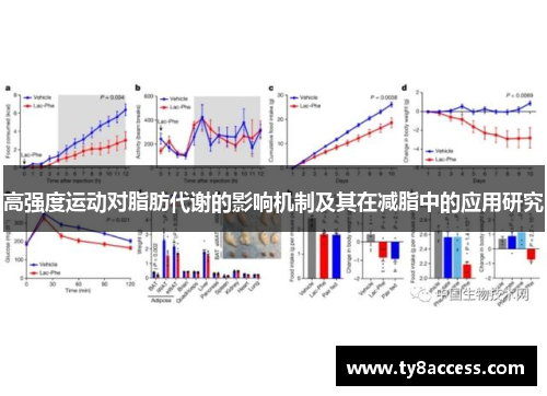 高强度运动对脂肪代谢的影响机制及其在减脂中的应用研究
